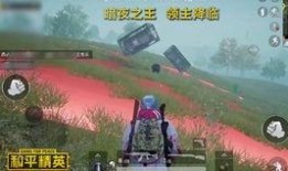 和平精英新版本爆料视频,全新内容与玩法大曝光！