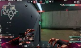 王哥无畏契约爆料视频