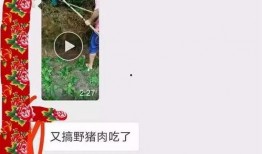 猪肉爆料视频大全最新