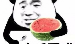 娱乐吃瓜君舔屏,揭秘明星幕后故事