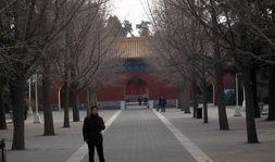 中山公园直播爆料最新,网红打卡地背后的故事与魅力”