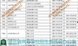 山东投档最新消息爆料,揭秘录取动态与热门专业竞争态势