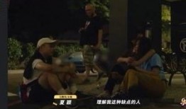 傻白乐队爆料视频全集,揭秘音乐幕后故事与真实情感