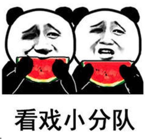 吃瓜表情包图片